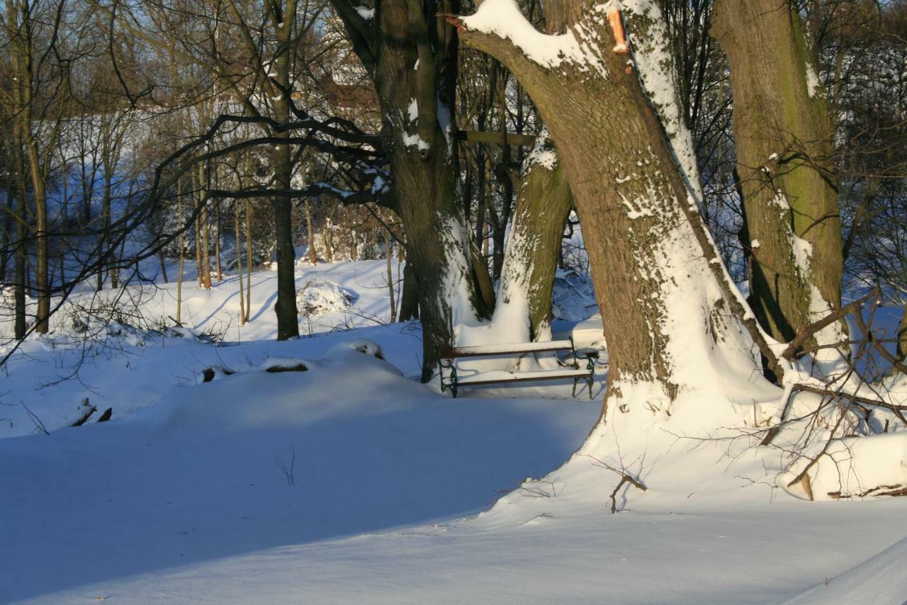 Somhegyi Oereg Harsfak Major Vendeghaz Bed & Breakfast Bakonybél Exterior foto